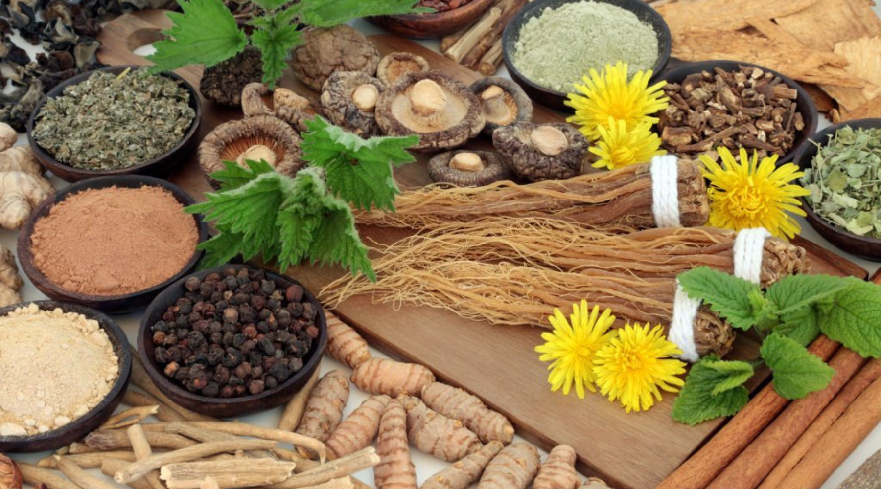How to incorporate adaptogens into your daily routine for maximum ...